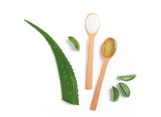 IMAG-Organics/IMAG-Organics-Food-Ingredients-Bases-On-Aloe-Vera-Photo-1