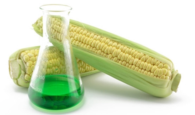 Picture for category GMO Identification