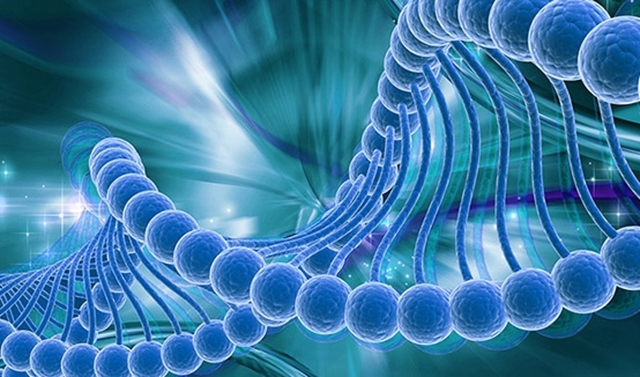 Picture for category PCR Reagents